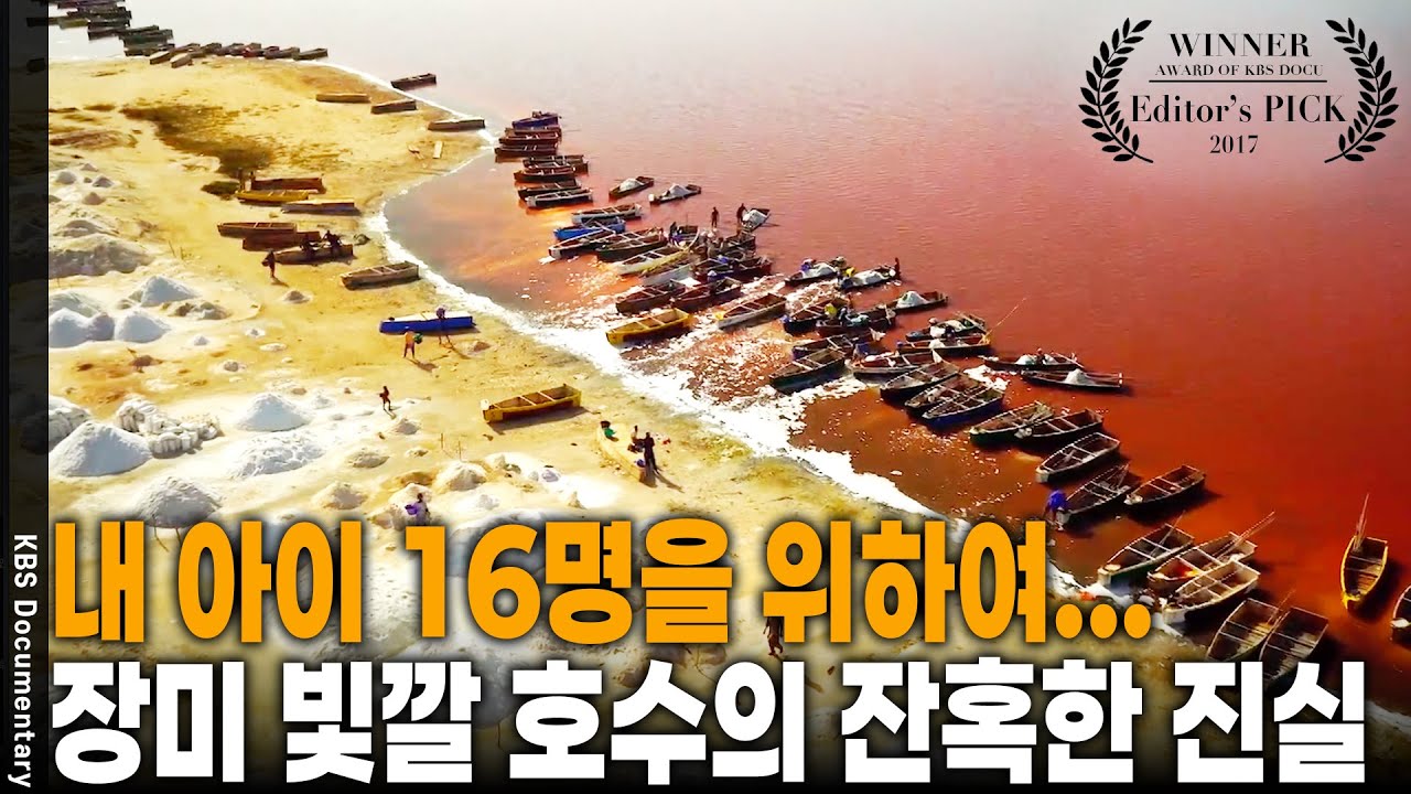 하루 수익 1만 원... 소금에 살점이 떨어져 나가도 그가 장미호수로 뛰어드는 이유 | KBS 대기획 순례 20170914 방송