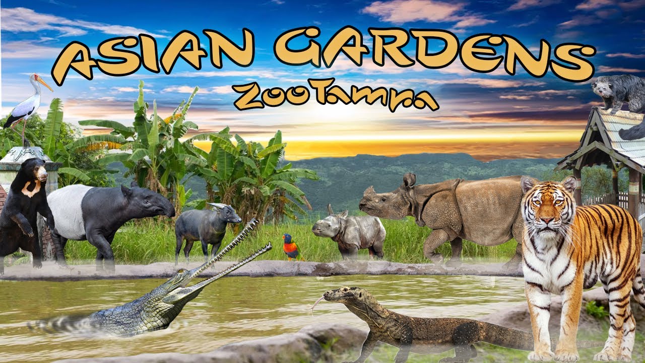 The Asian Gardens at ZooTampa