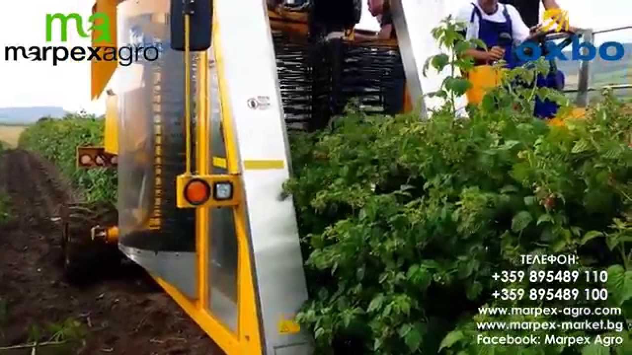 КОМБАЙН ЗА МАЛИНИ OXBO / OXBO Raspberry Harvester