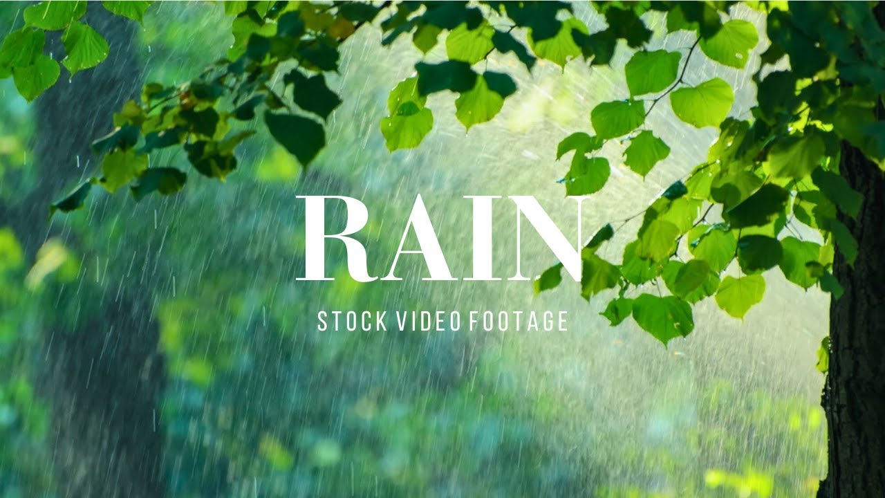 Rain Stock Video Footage Background No Copyright