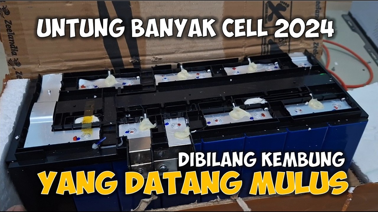 Baterai LiFePO4 Murah 291rb per Cell – Murahnya Kebangetan !