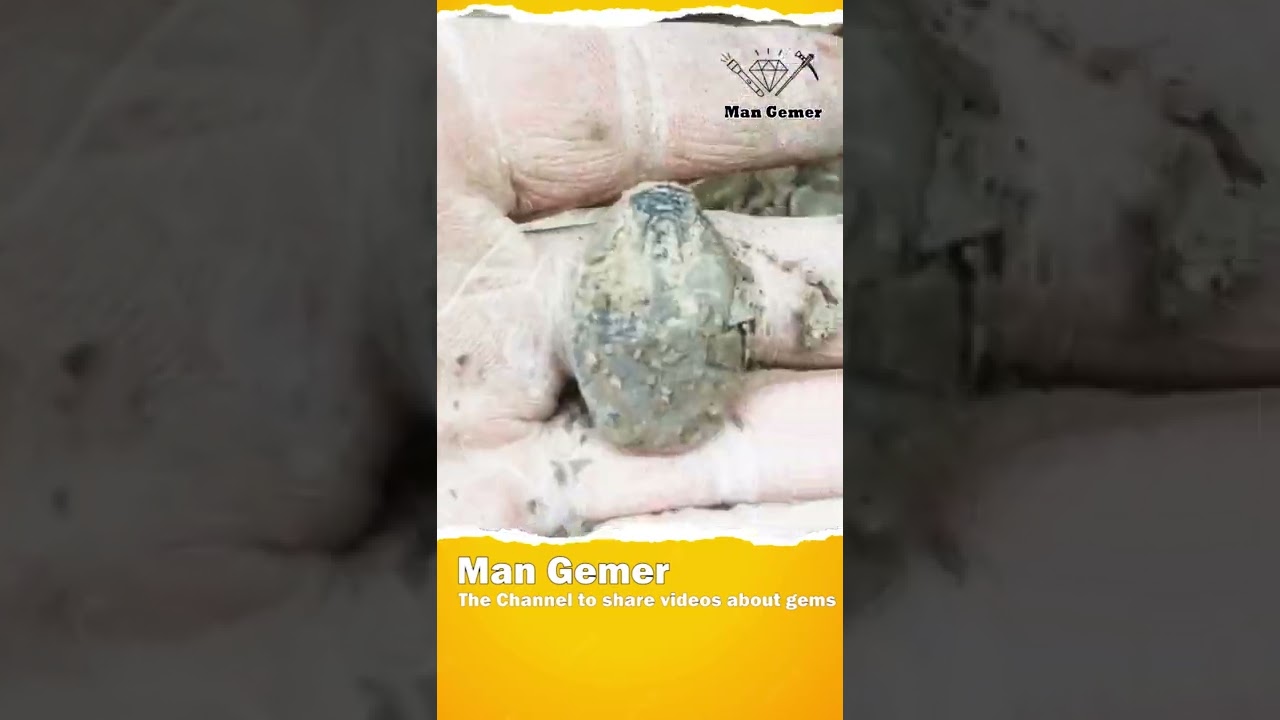 Digging for 500 million year old trilobite fossils near Delta, Utah  #trilobite #fossilhunting #foss