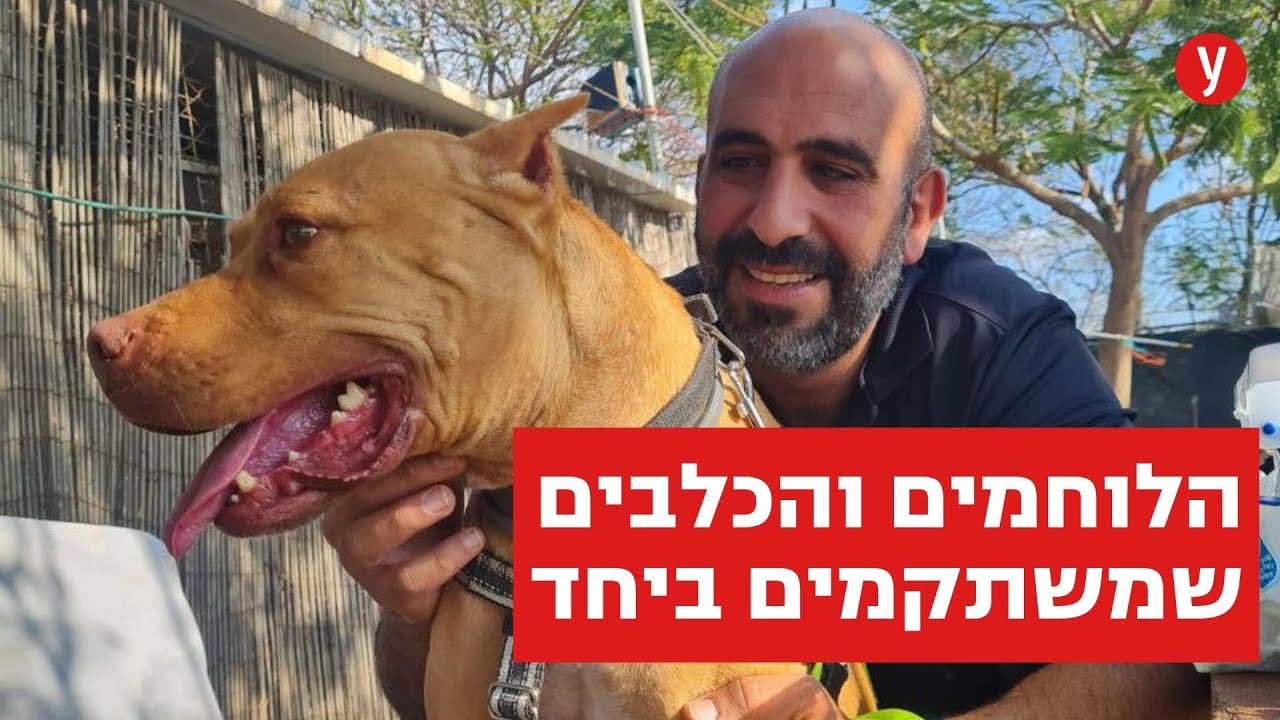 החיילים הפוסט-טראומתיים שמשתקמים בעזרת כלבים