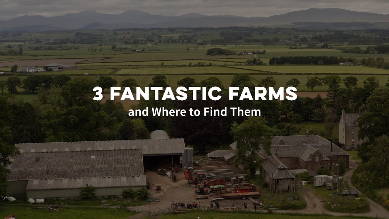 Three Fantastic Farms and Where to Find Them