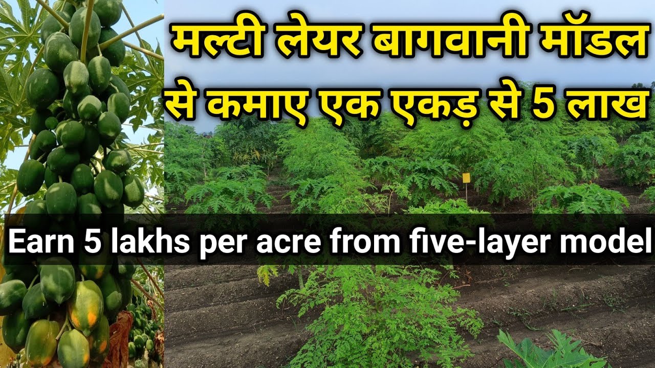 कैसे कमाएं एक एकड़ से 5 लाख मल्टीलेयर बागवानी मॉडल से? Subhash Palekar Five-Layer Orchard Model