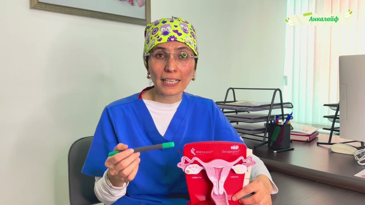 Ayollarning reproduktiv tizimi qanday ishlaydi?