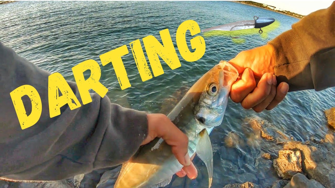 UN RATITO ENTRETENIDO PESCANDO A DARTING || SPINNING HUELVA