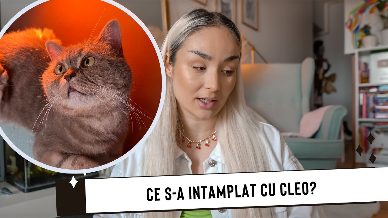 Ce s-a intamplat cu Cleu meu? | Pierderea Cleopatrei |