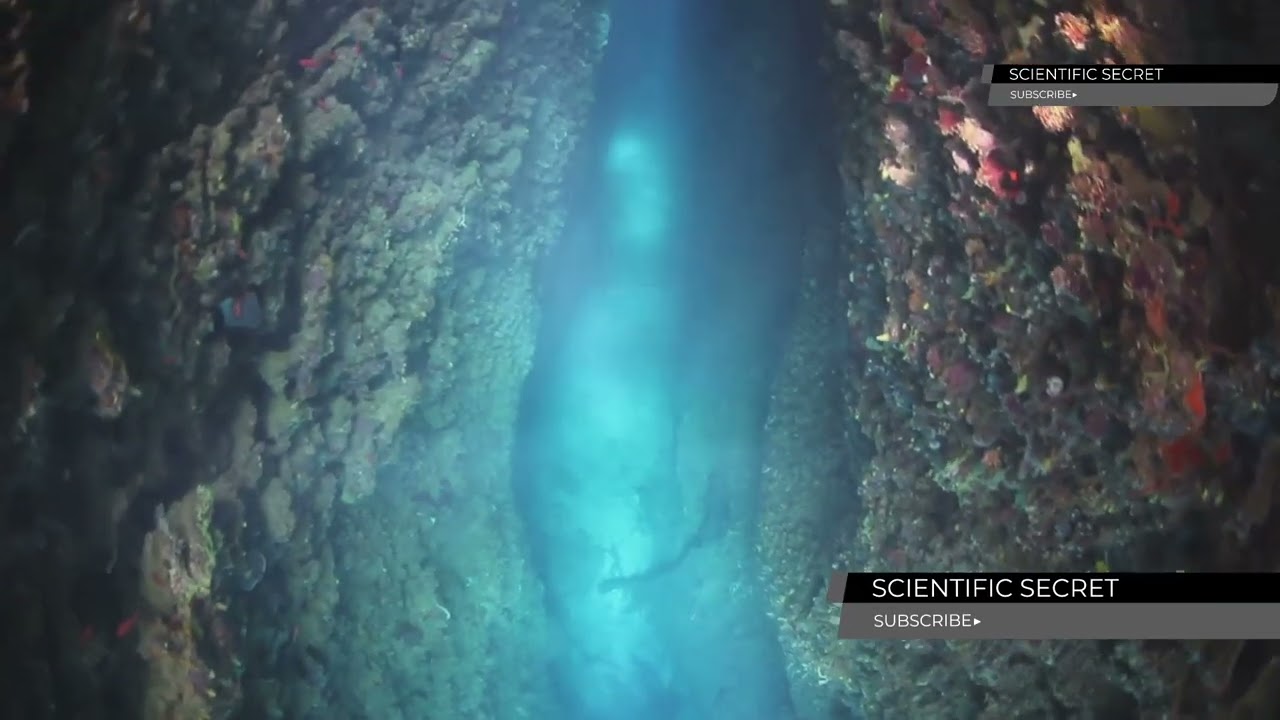 Earth's Longest Mountain Range Is Underwater: Exploring the Mid-Atlantic Ridge 🌋#MidAtlanticRidge 🌊