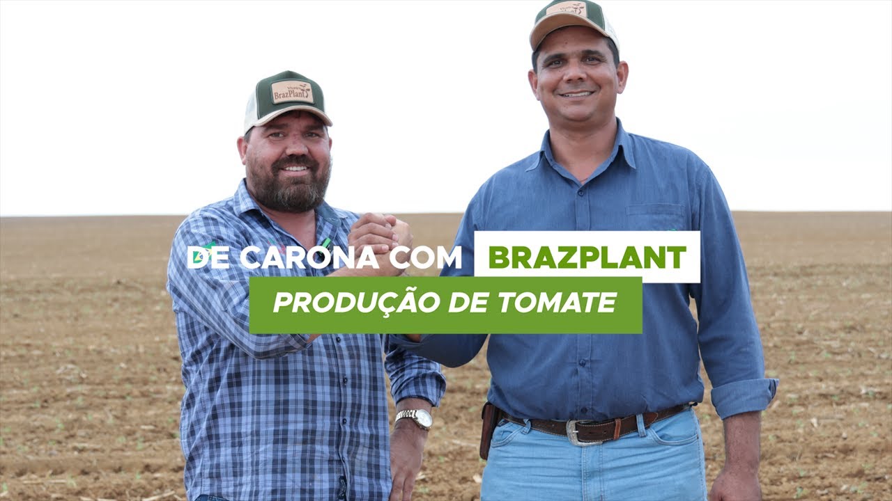 O Pé na Estrada com BrazPlant chegou na lavoura de tomate do Maurício - Ep. 03