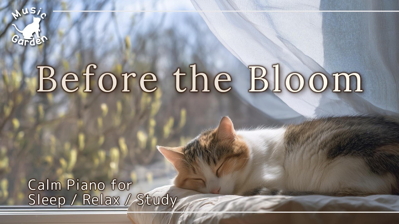 Relaxing Piano 🎹 Before the Bloom | Calm Piano with Soft Acoustic Touch | Sleep / Relax / Study 🌿🐱