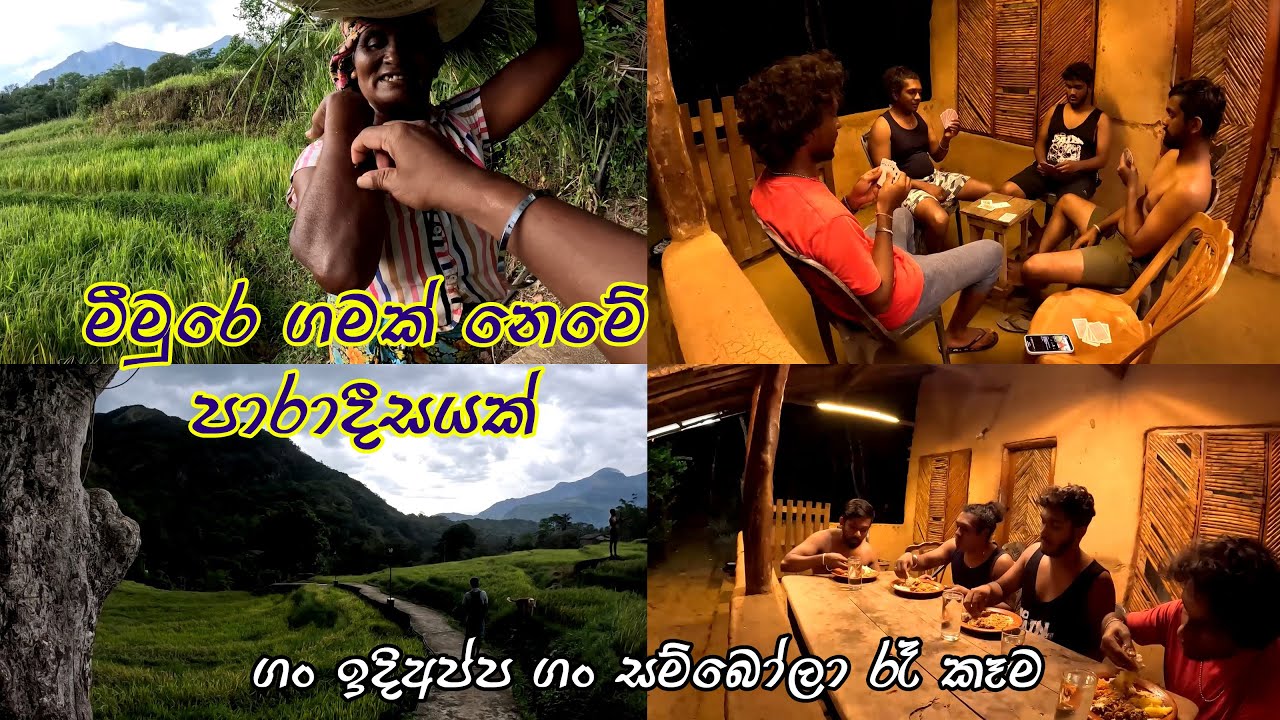 Memre Vlog 3  🧡 Most Beautiful Village In SRILANKA 👍 delicious food 🧡 කාඩ් සෙල්ලම් කරා නිසන්සල රෑක