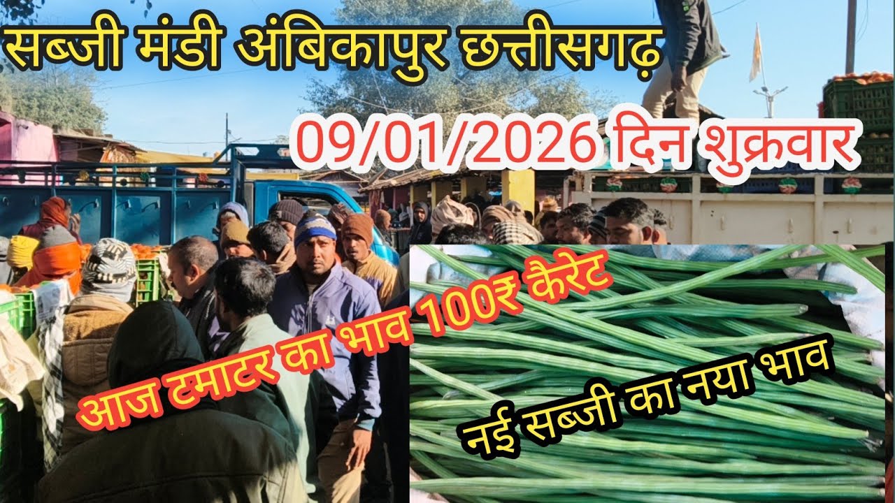 #सब्जी मंडी अंबिकापुर छत्तीसगढ़ का ताजा भाव जाने लाइव #बोली ? #vegetable #viralvideo #cg #ambikapur