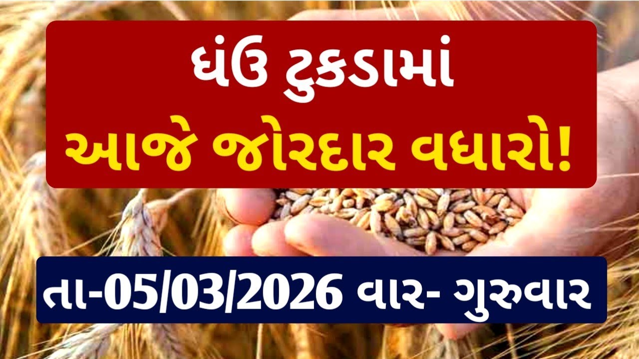 ઘઉંના ભાવ | 05-03-2026 | આજના ઘઉંના ભાવ | ઘઉંના ભાવ:2025 | information about wheat mandi price |