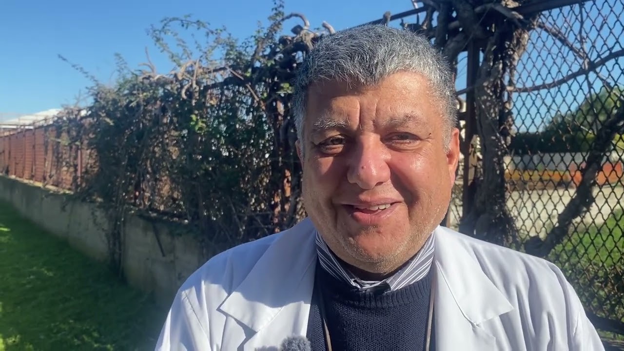 Galline sgozzate trovate davanti al cimitero di Taurianova: le immagini