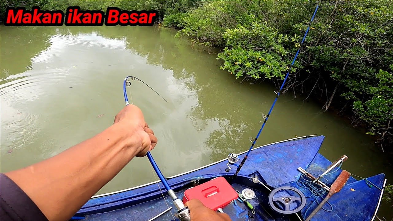 Sangat Beruntung Hari ini,, Tiga ekor ikan Berhasil Saya Bawa Pulang, Masak Besar