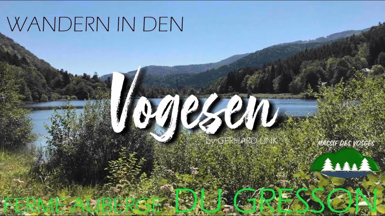 Wandern in den Südvogesen - Tour zur Ferme Auberge Du Gresson 🇫🇷 🥾😅🌳 🐄