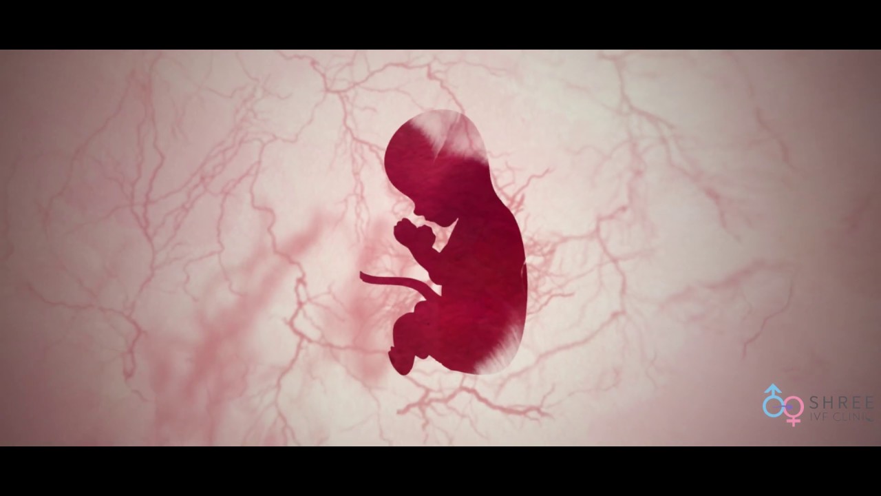 Dr Jay Mehta's- Shree IVF Clinic- A Virtual Tour