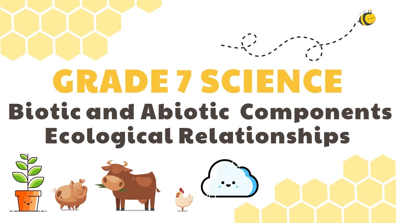 Biotic & Abiotic Component, Ecological Relationships | Grade 7 Science DepEd MELC Quarter 2 Module 6