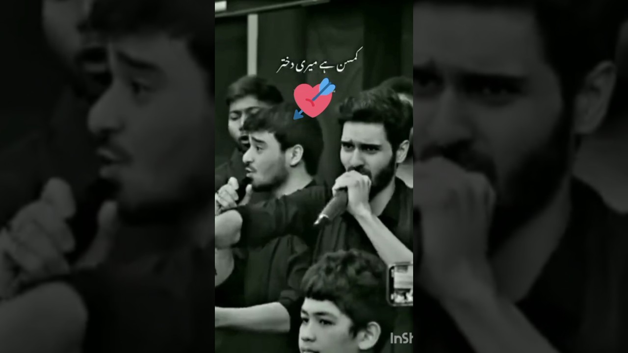 Syed ali shanawar and Syed ali jee noha and her voice break my heart into two pieces 💕💕