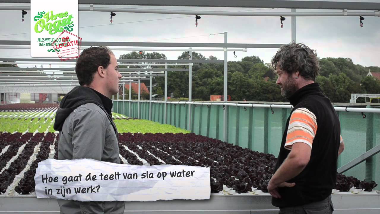 Verse Oogst Op Locatie - Duurzame sla op water