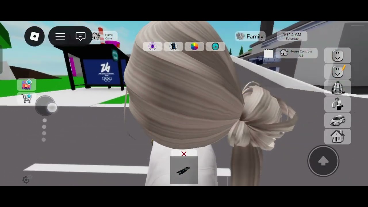 Tuesday playing with us #roblox #brookheaven