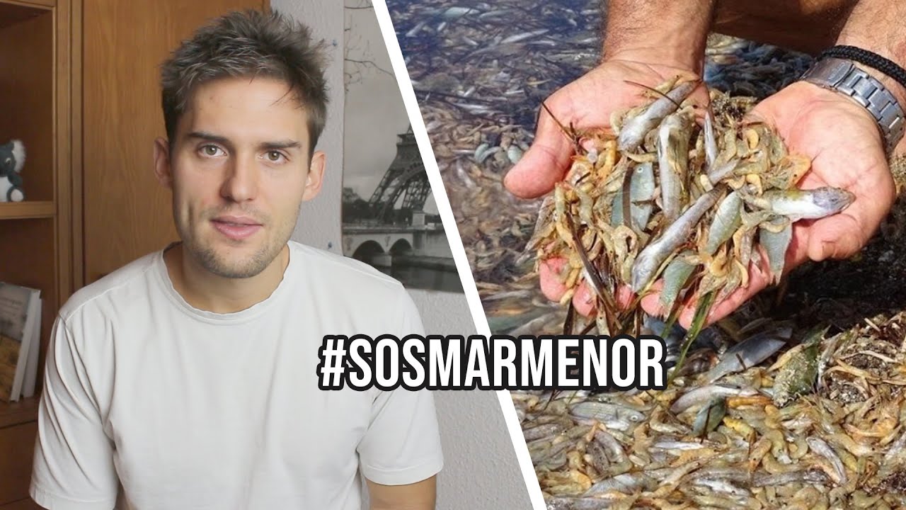 ¿Qué está pasando en el Mar Menor?