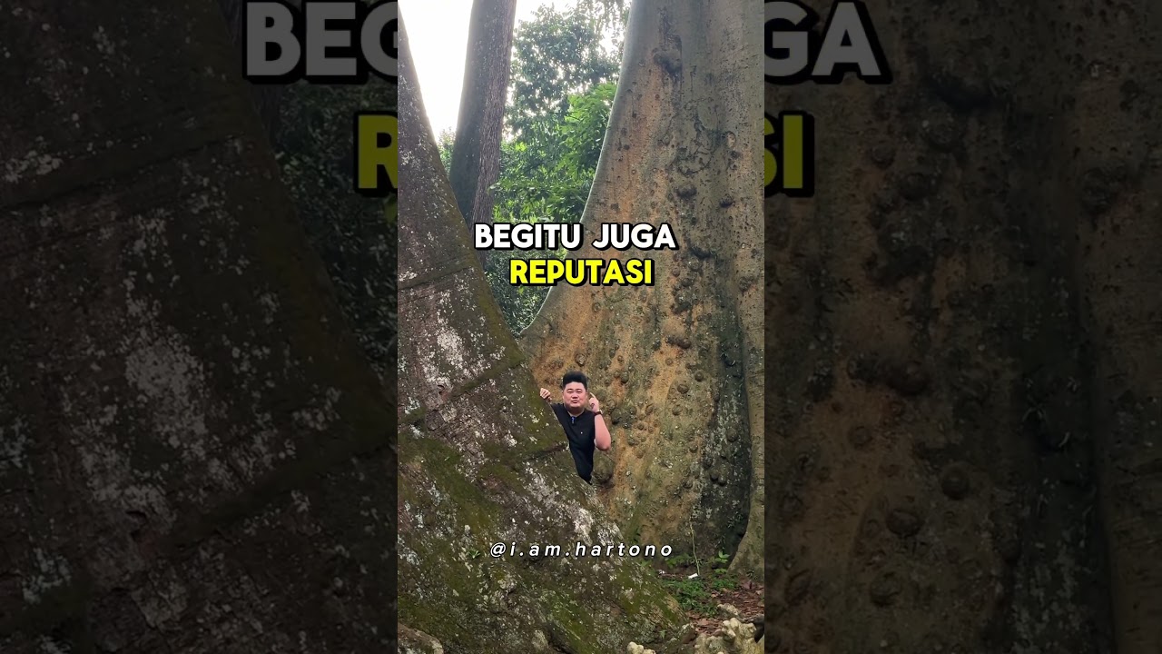 REPUTASI !! #kepercayaan #sukses #selfimprovement
