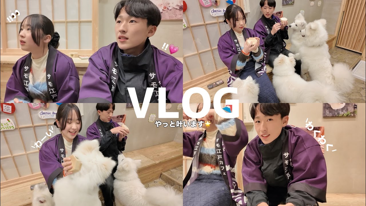 Vlog┊︎ずっと行きたかった場所にサプライズで行ったら幸せすぎた