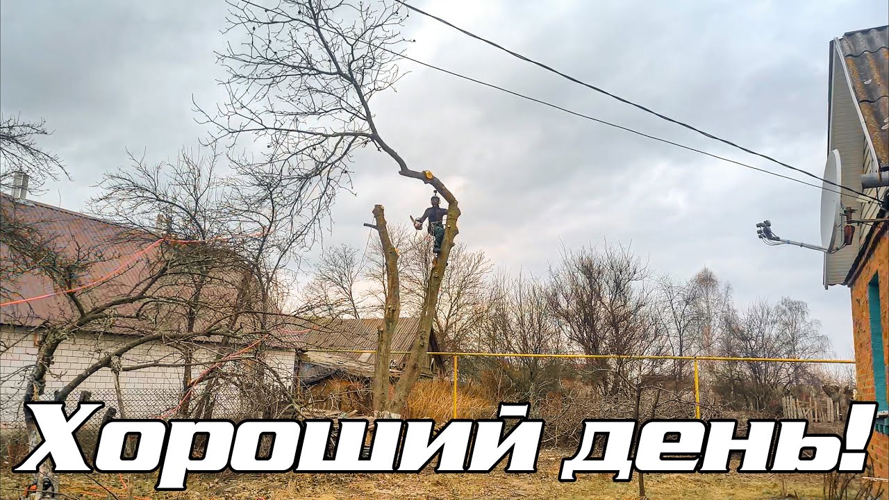 Горіх над газовою трубою