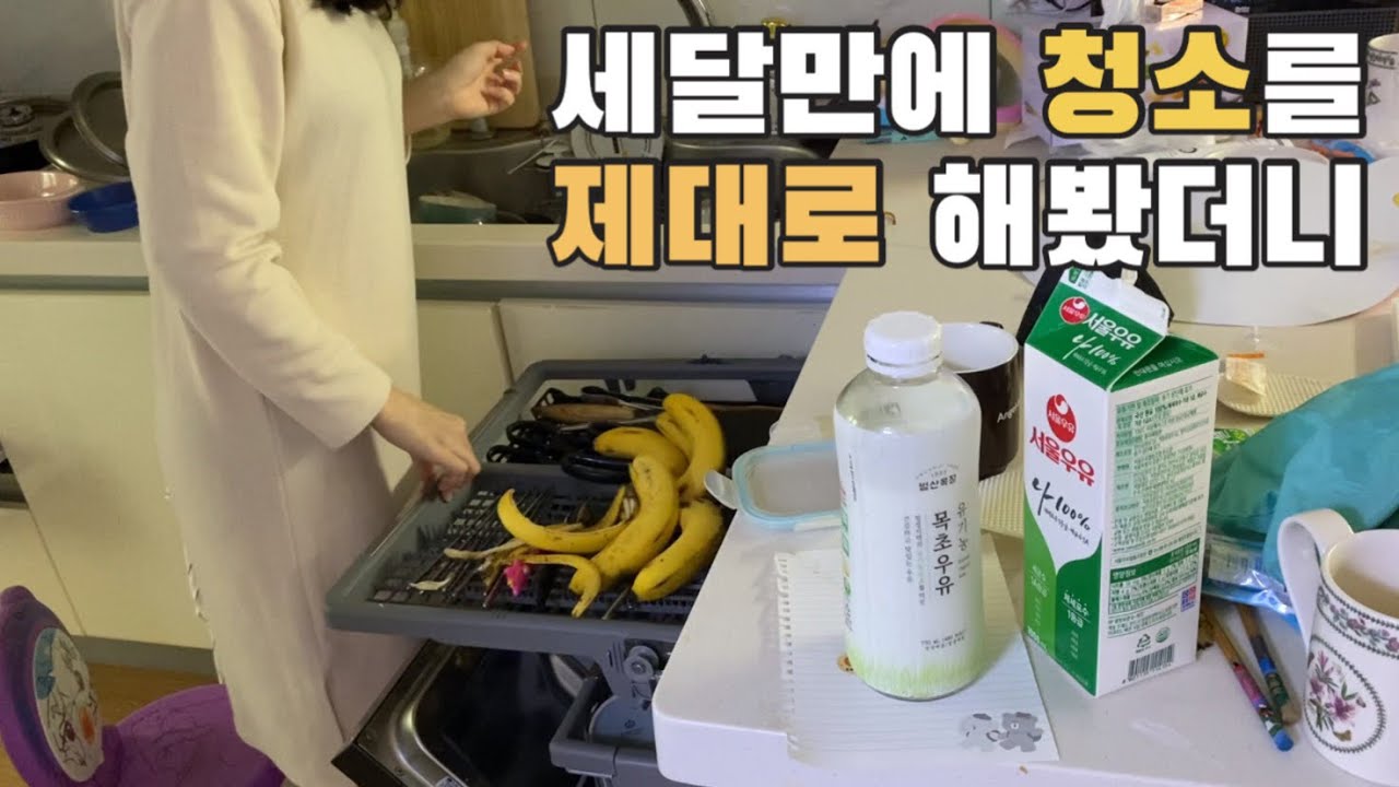 미니멀라이프(34평에서25평) 청소 마려운 영상 🤪🔥 진심으로 싹 청소를 해봤더니..? | 대학교동아리 | 10년만에 만남 🌿