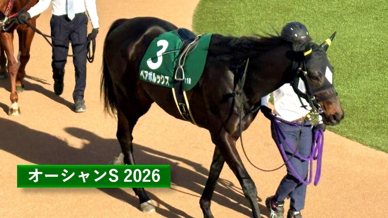 2026年 オーシャンステークス | ペアポルックス | レイピア | ルガル | ママコチャ | パドック 現地映像 全頭 | 中山競馬場 | 芝1,200