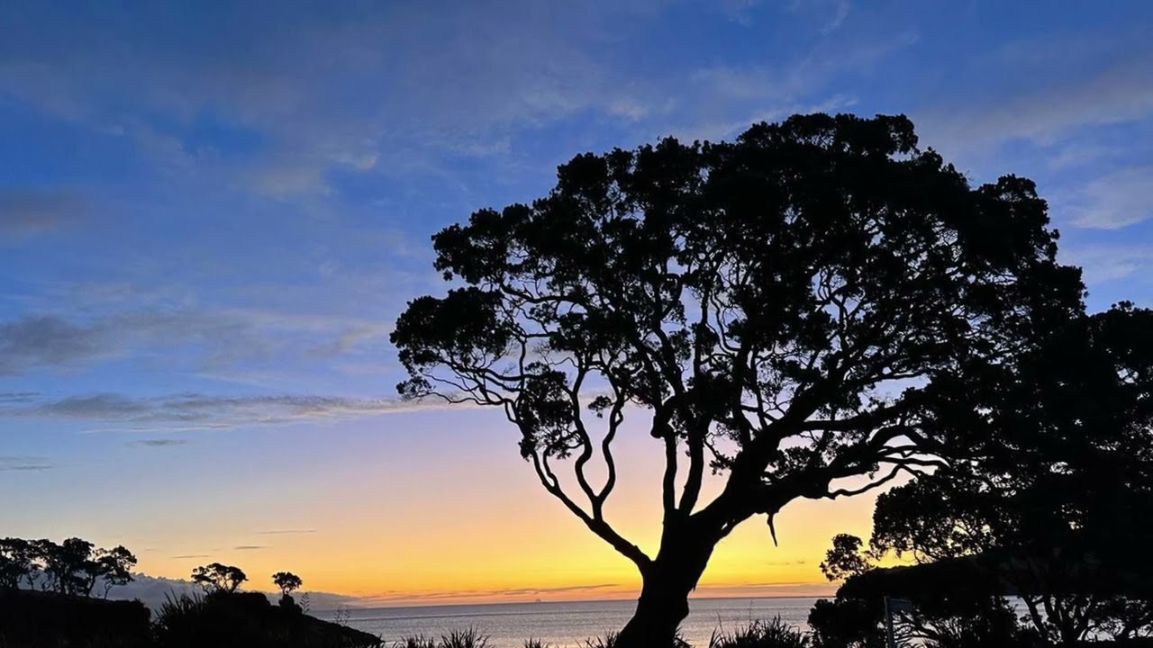 5.30 in the morning Great barrier island New Zealand