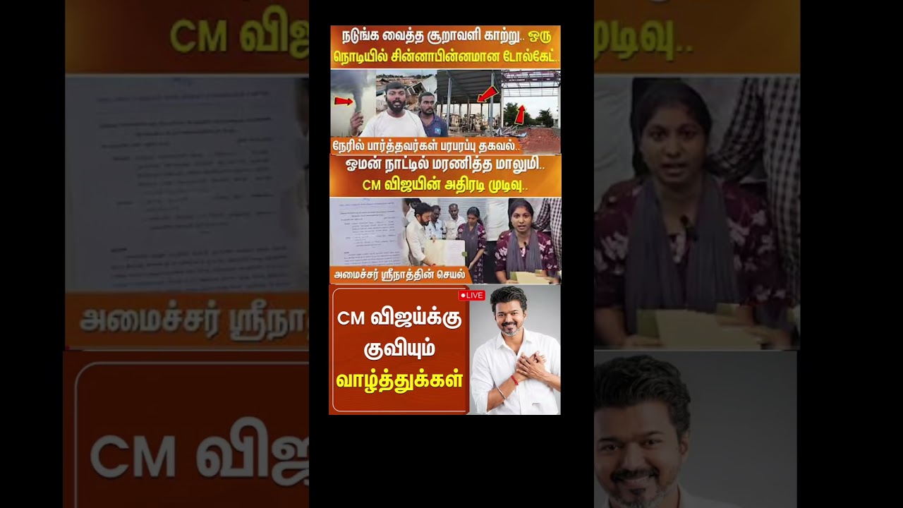 TVK thalapathy vijay love #tvk #dmk #tamil #congress #bjp