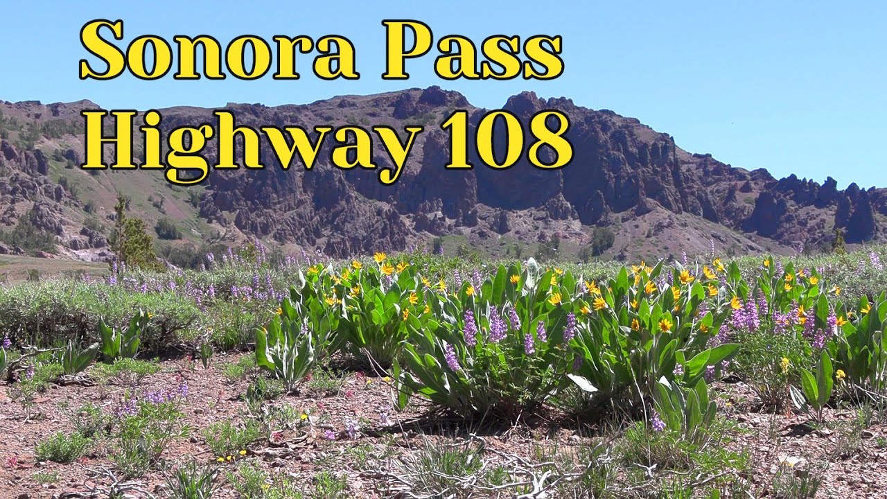 Driving the Sonora Pass Highway 108 July 6,2025