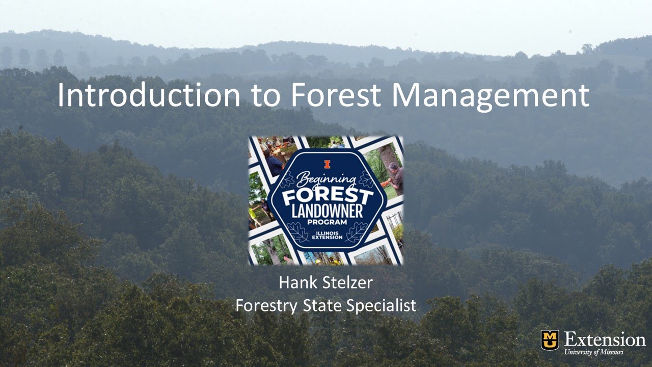 Introduction to Forest Management