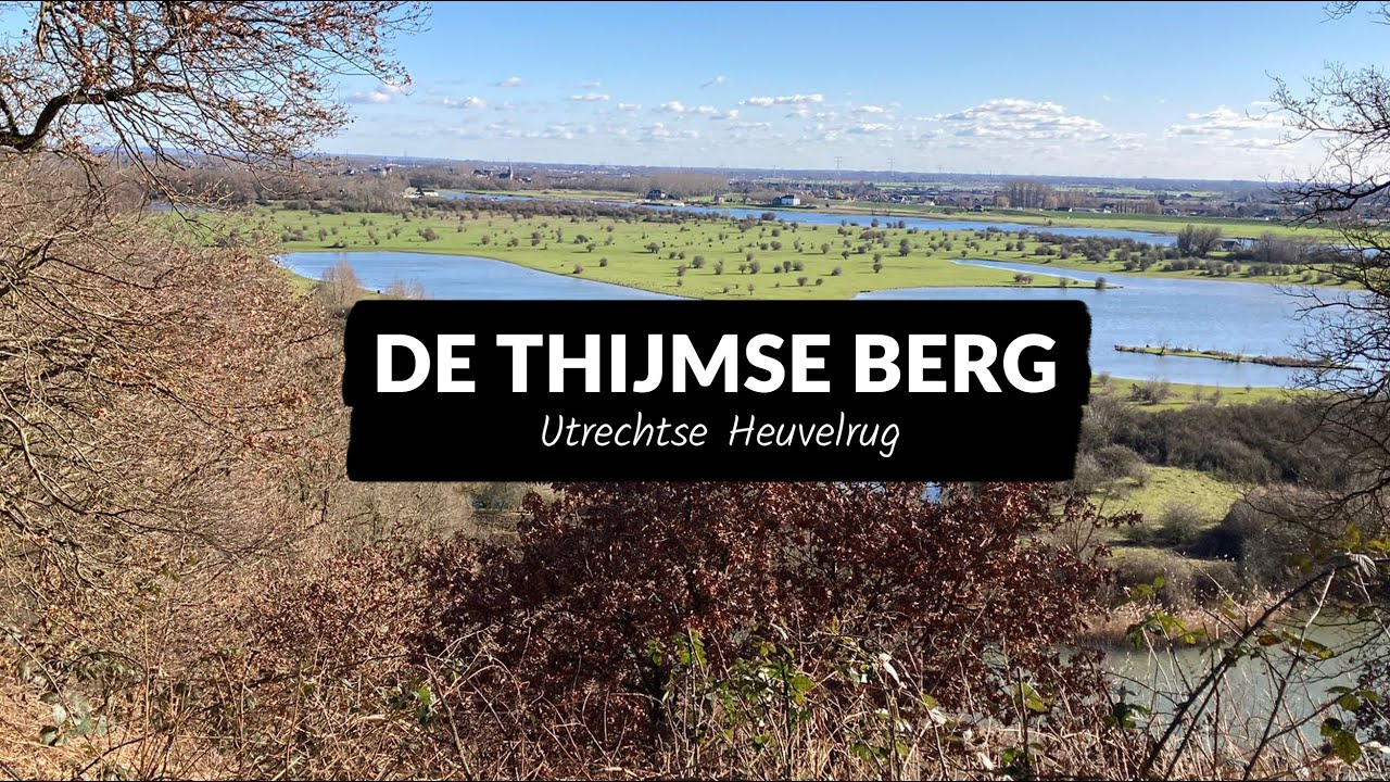 De Thijmse Berg - genieten op de Utrechtse Heuvelrug, Nederland