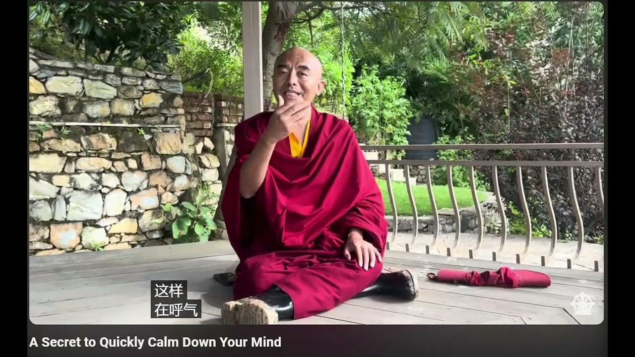 明就仁波切-快速冷静的秘诀01/15/2025   #calmdown  #deepbreathing  #去感恩