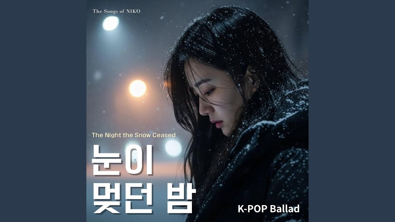 눈이 멎던 밤