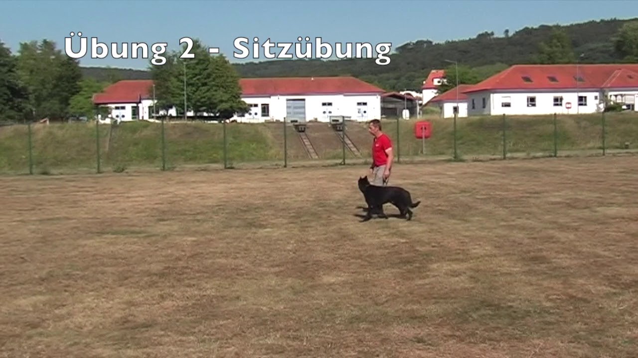 DGPO-Unterordnung