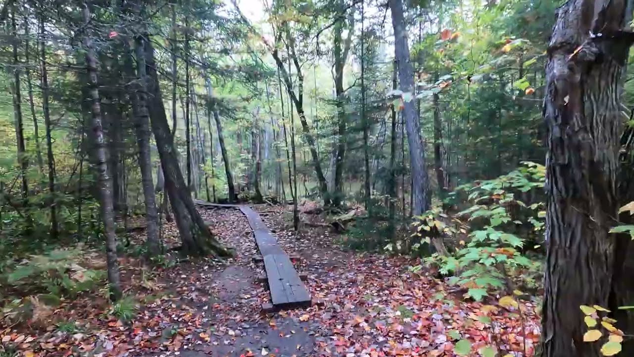 Hiking - Kawishiwi Falls Trail near the BWCA
