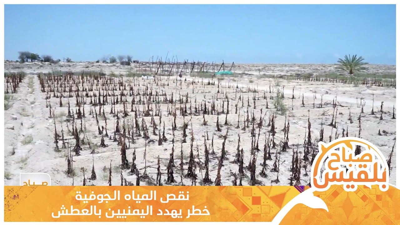 نقص المياه الجوفية.. خطر يهدد اليمنيين بالعطش | تقرير: سمية علي