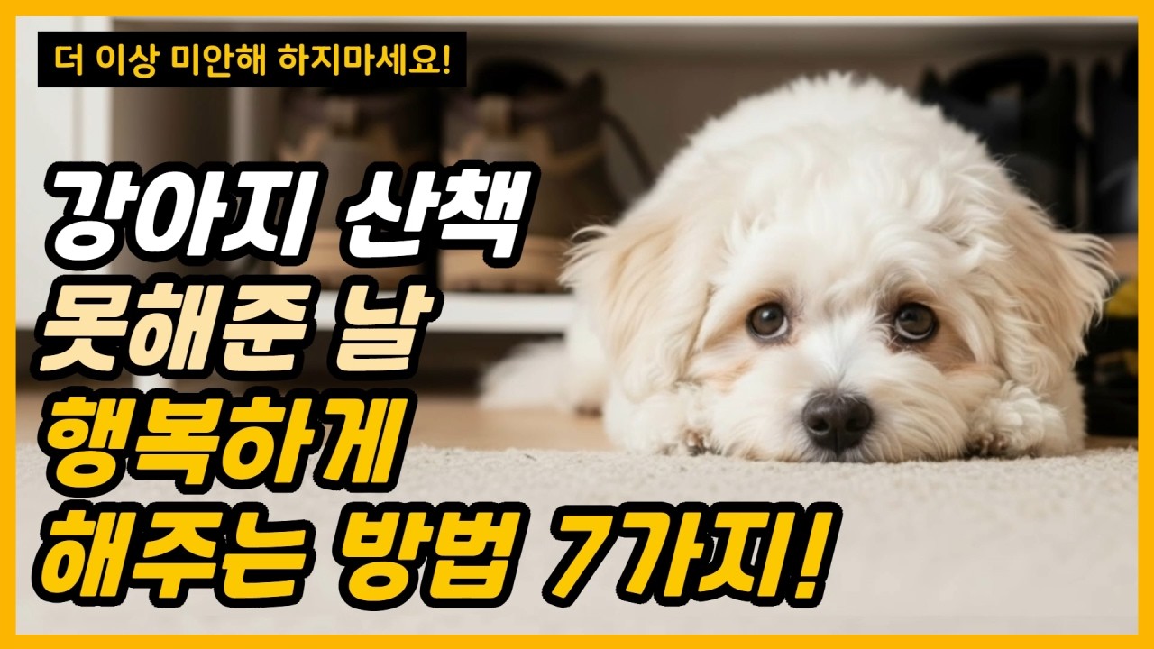 산책 못 시켜줘서 미안 하셨나요?ㅣ딱 10분이면 돼요! 강아지 행복하게 만드는 7가지 방법!
