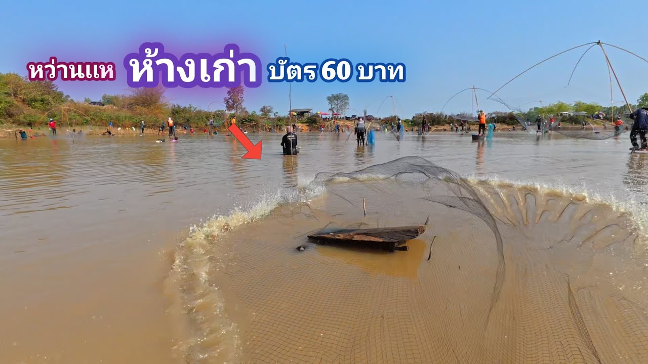 หว่านเเห บัตร 60 บาท หว่านเเหใส่ห้างไม้เก่า ปลาเข้าไปซ่อน ครั้งเดียวคุ้ม / บ้านนอก EP.1,001