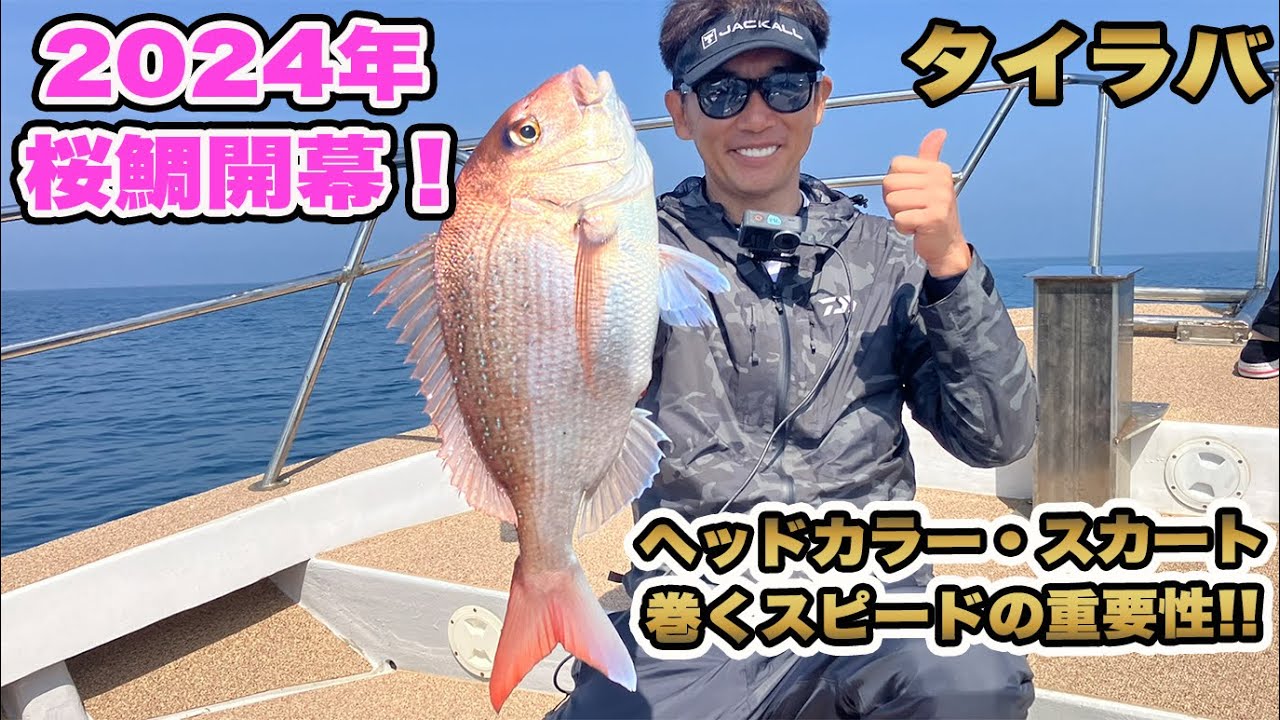 【タイラバ】2024年桜鯛開幕❕ヘッド・スカート・巻くスピードで釣果が変わる❕#タイラバ #のっこみ #釣り