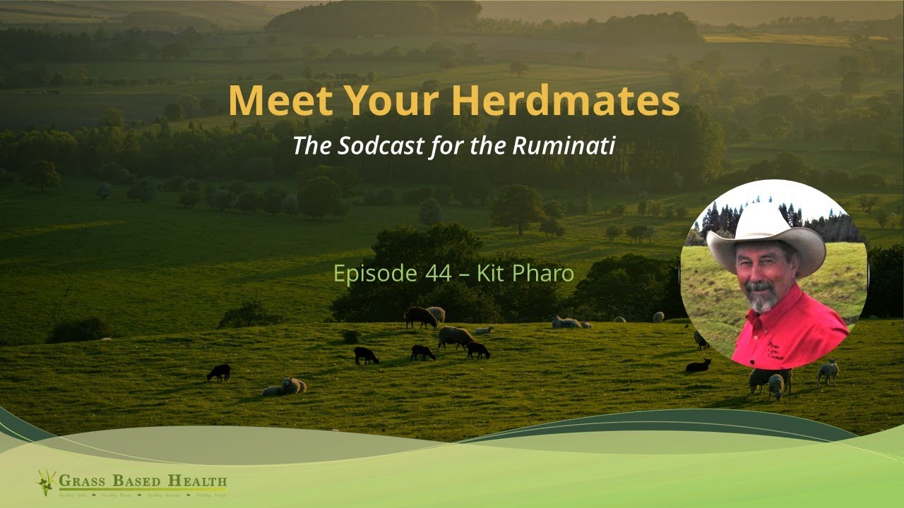 Meet Your Herdmates, Kit Pharo