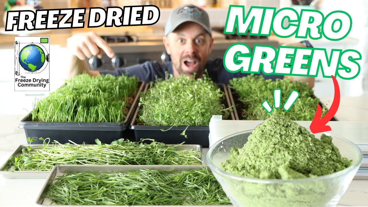 Are Freeze-Dried Microgreens the Future of Superfoods?