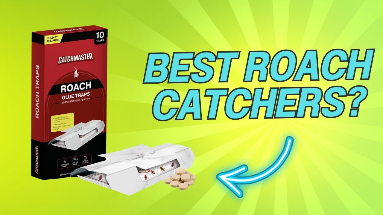 CatchMaster Roach Trap Review