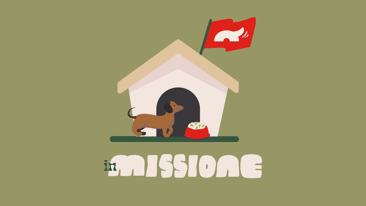 Dog Heroes In Missione