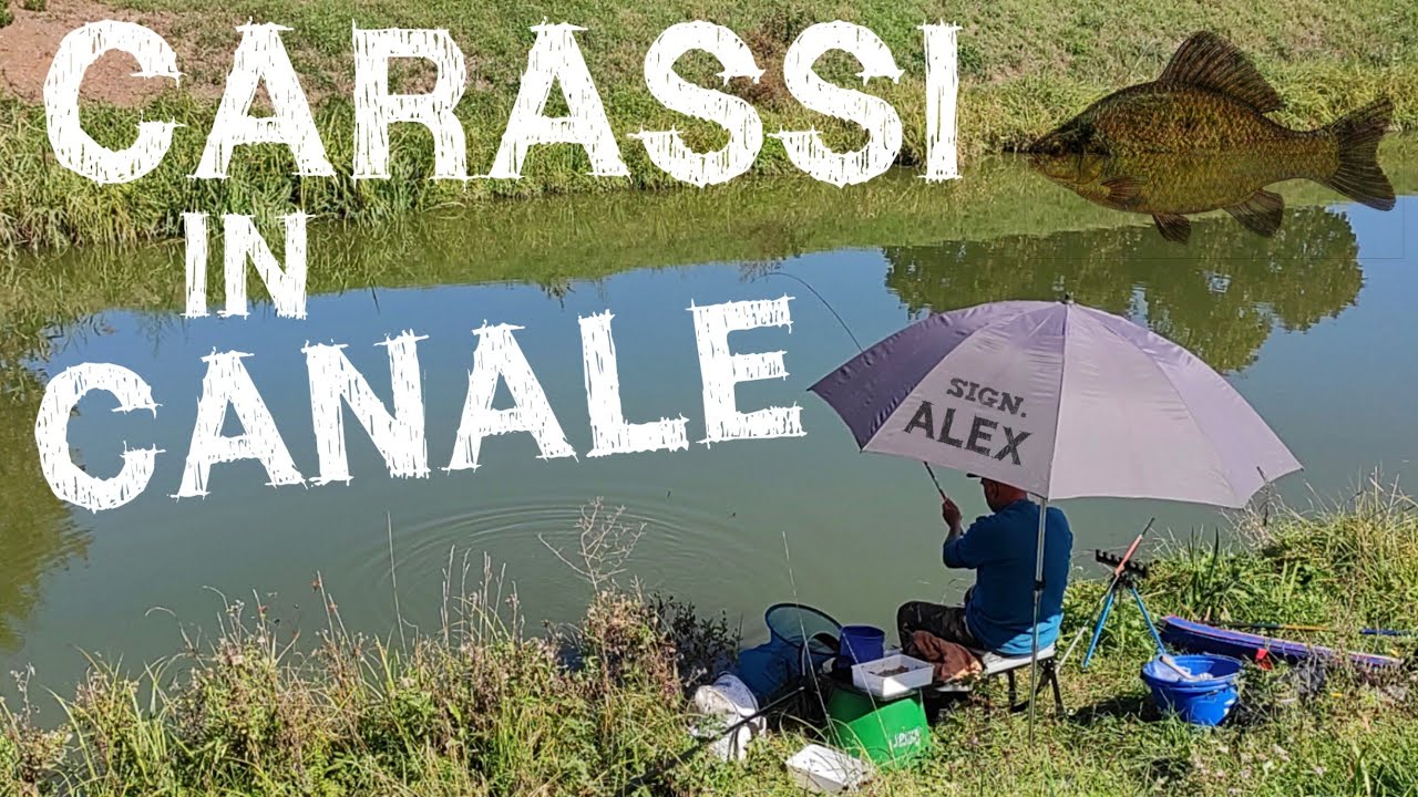 A PESCA IN CANALE CON ALEX : Intervisto un pescatore con molta esperienza canna fissa e carp Fishing